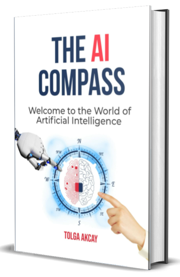 THE AI COMPASS