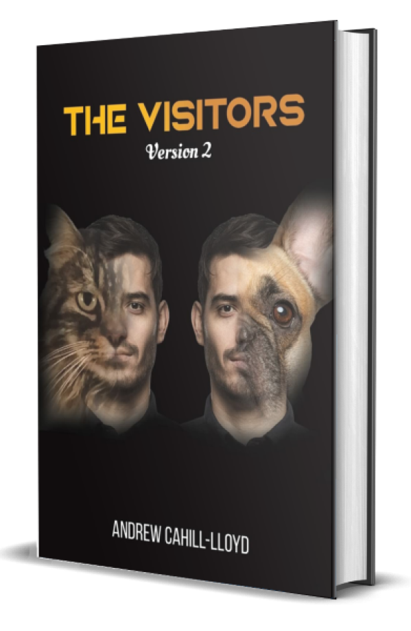 The Visitors